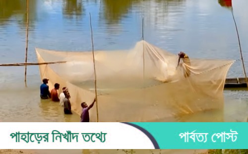পুকুর সংকটে কাপ্তাই হ্রদে রেণু সরবরাহ কমছে