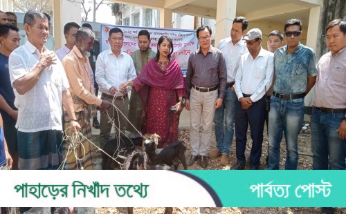 বিকল্প কর্মসংস্থানে পানছড়িতে ছাগল ও শুকর বিতরণ