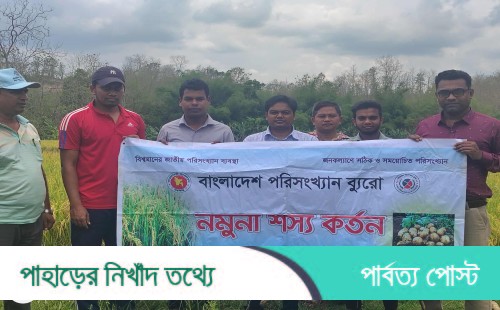 রাজস্থলীতে পরিসংখ্যান অফিসের নমুনা শস্য কর্তন অনুষ্ঠিত