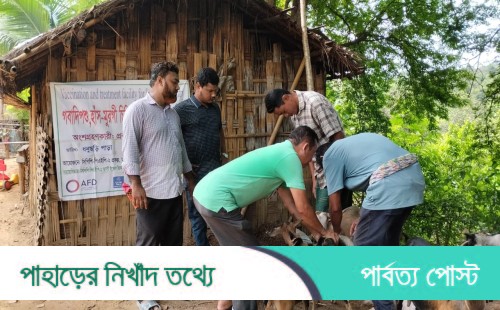 রাজস্থলীতে বিনামূল্যে গবাদিপশুর টিকাদান কর্মসূচি অনুষ্ঠিত
