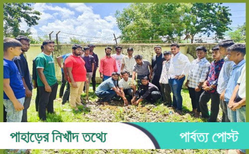 কাঁচালং সরকারি কলেজ ছাত্রদলের উদ্যোগে বৃক্ষরোপণ কর্মসূচি পালিত