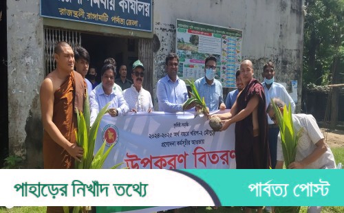 রাজস্থলীতে নারিকেল চারা, ধান এবং সবজির বীজ বিতরণ