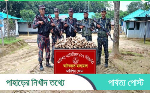 বিজিবির অভিযানে অবৈধ ১৪ লাখ টাকার কাঠ জব্দ
