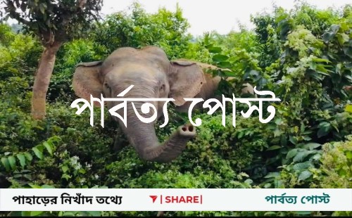 কাপ্তাইয়ে বন্যহাতির আক্রমনে মানসিক ভারসাম্যহীন নারীর মৃত্যু