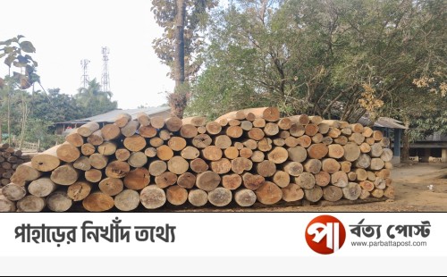 দীঘিনালায় সেনাবাহিনীসহ যৌথ অভিযানে ৪৯৮ ফুট অবৈধ কাঠ জব্দ