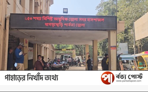 খাগড়াছড়িতে ইজিবাইক উল্টে চালকের মৃত্যু