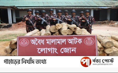 বিজিবির অভিযানে অবৈধ ৮০ ফুট অবৈধ কাঠ জব্দ
