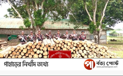 বিজিবির অভিযানে ১০লাখ টাকার অবৈধ কাঠ জব্দ